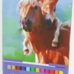 مداد رنگی ۱۲ رنگ سیکلاس